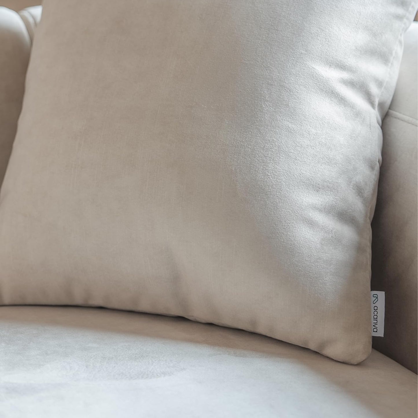 Minimalist Luxury Modern Tight Curved Style Comfy Couch
